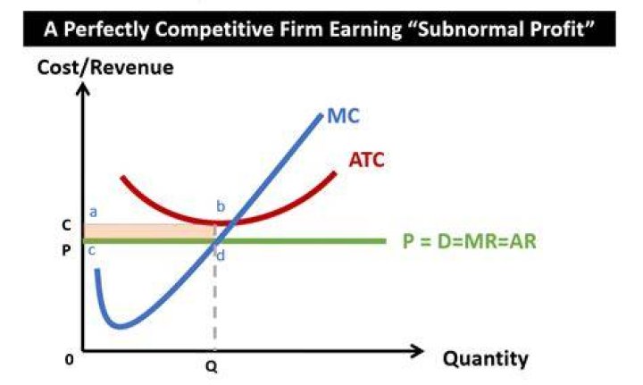 Can a firm experience economic losses while earning accounting profits?