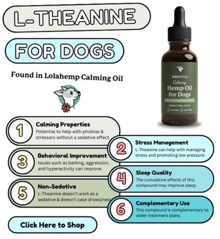 Can Dogs Take L-theanine?