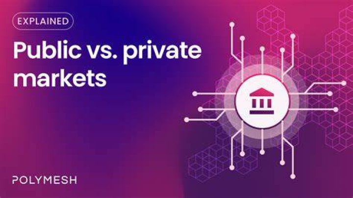 Can the private market provide a public good on its own?