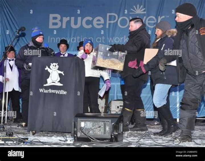 Did Wiarton Willie see shadow?