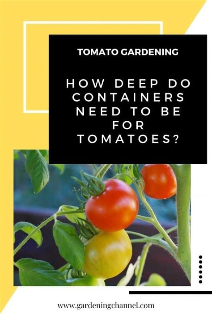 How deep do containers need to be for tomatoes?