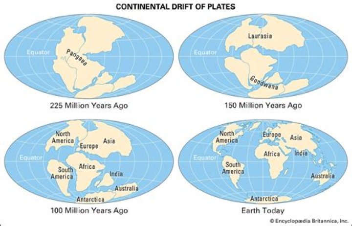 How did the movement of continents influence evolution?