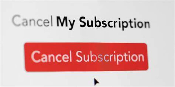 How do I cancel my L BRI consultant?