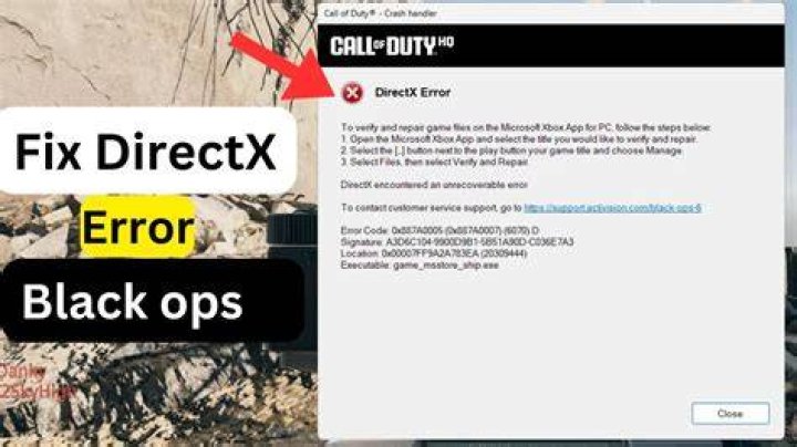 How do I fix the DirectX error in Call of Duty?