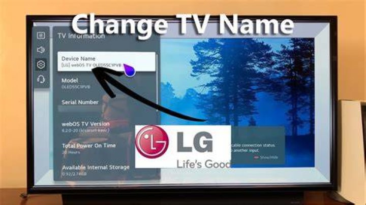 How do I update my 2013 LG Smart TV?