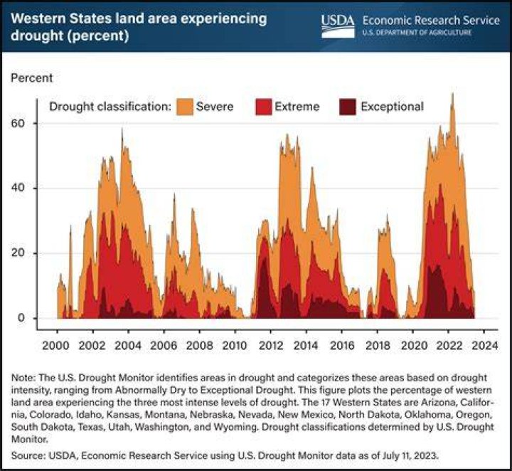 How do shortages affect the economy?