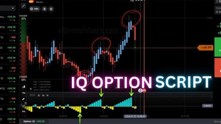 How do you get signals for IQ option?