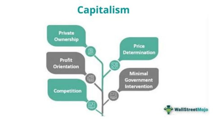 How do you use capitalism in a sentence?