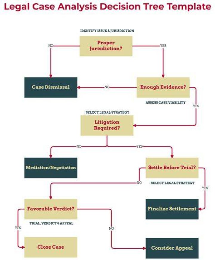 How do you write a critical analysis of a legal case?