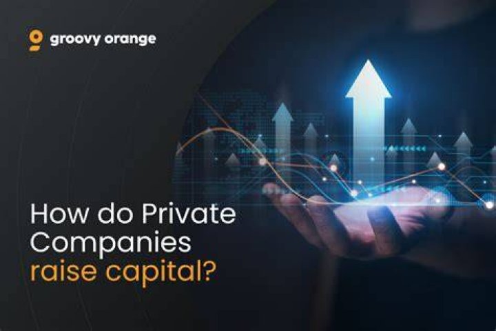 How does a company raise capital?