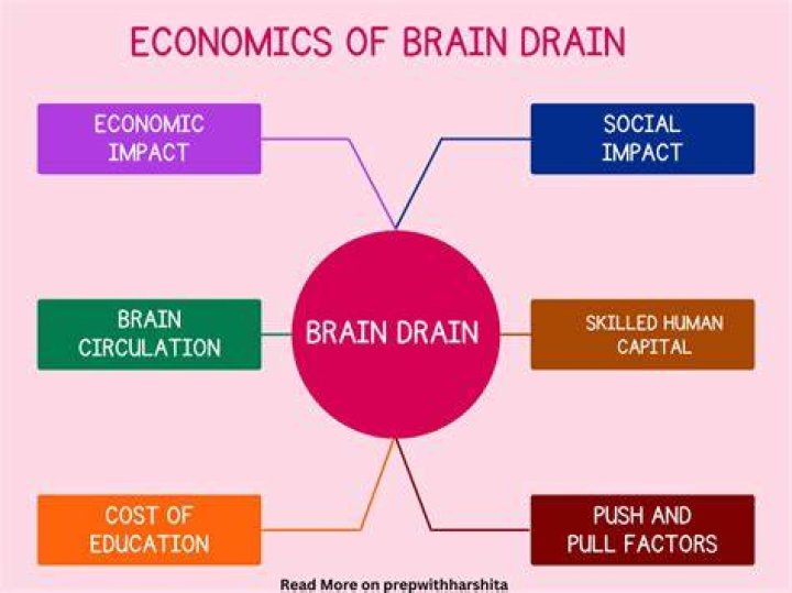 How does brain drain affect developing countries?