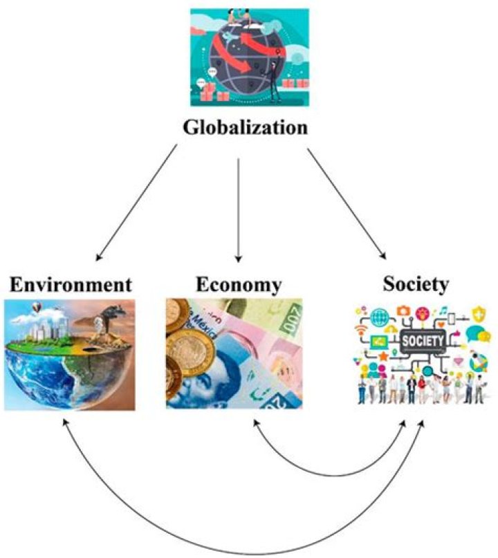 How does economy affect the environment?