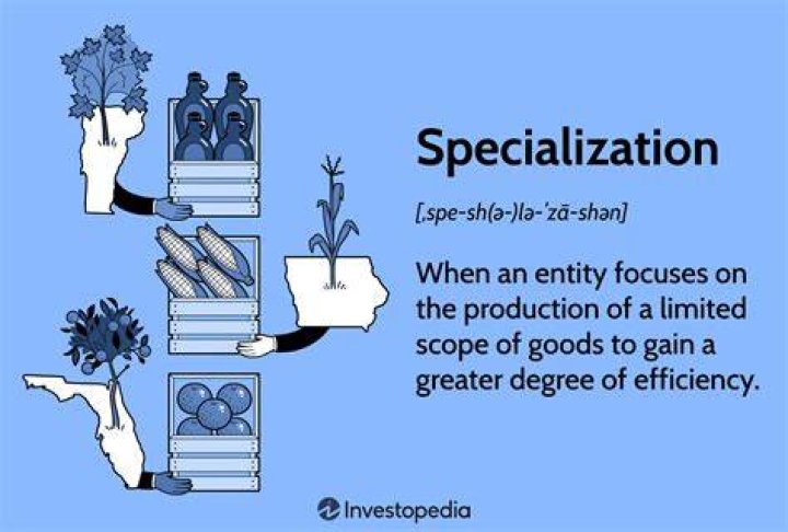 How does specialization make us more efficient quizlet?