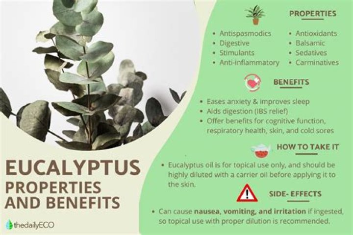 How is eucalyptus good for the environment?