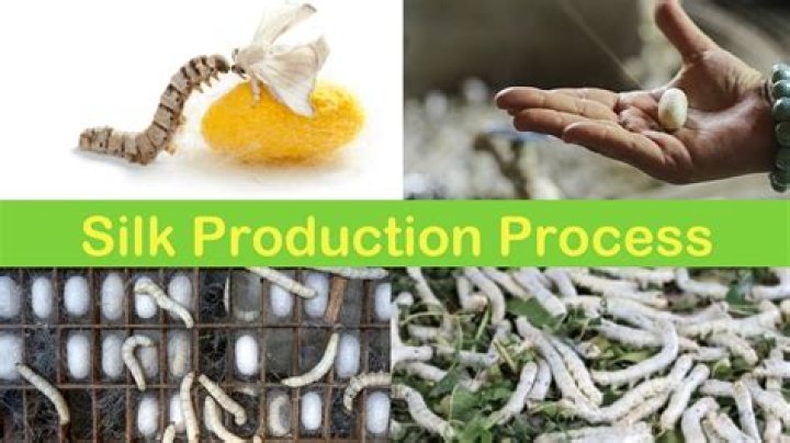 How is poly silk made?