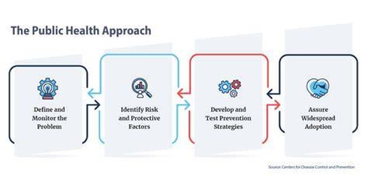 How is public health organized in the US?
