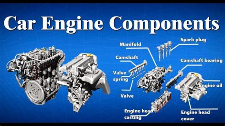 How many components does a spinor have?