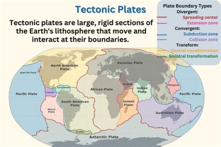 How many lithospheric plates are there answer?