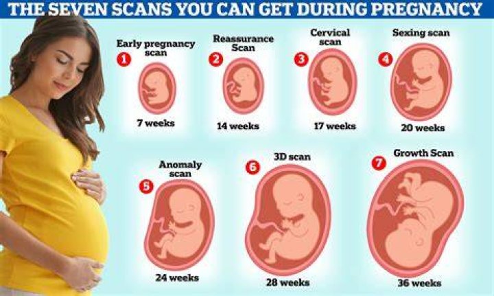 How many months is 10 weeks 5 days pregnant?