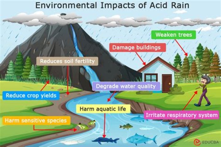 How might acid rain affect local economies?