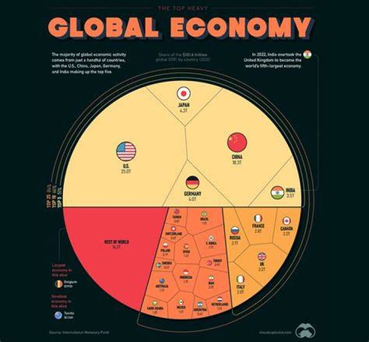 How much of the world is economy?