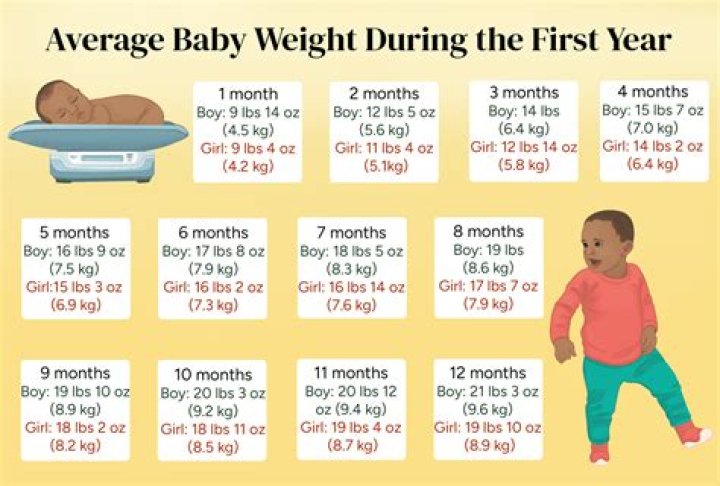How much weight does a toddler Tula hold?