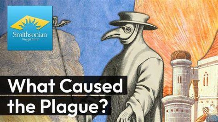 How was the plague treated Was it successful?