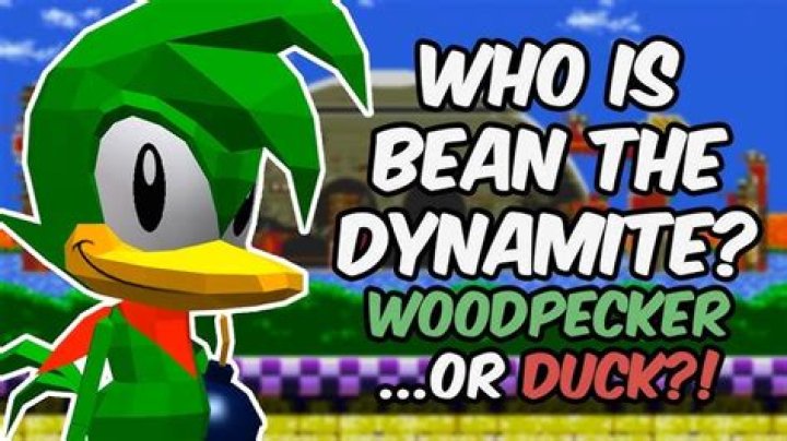 Is Bean the Dynamite a duck or a woodpecker?