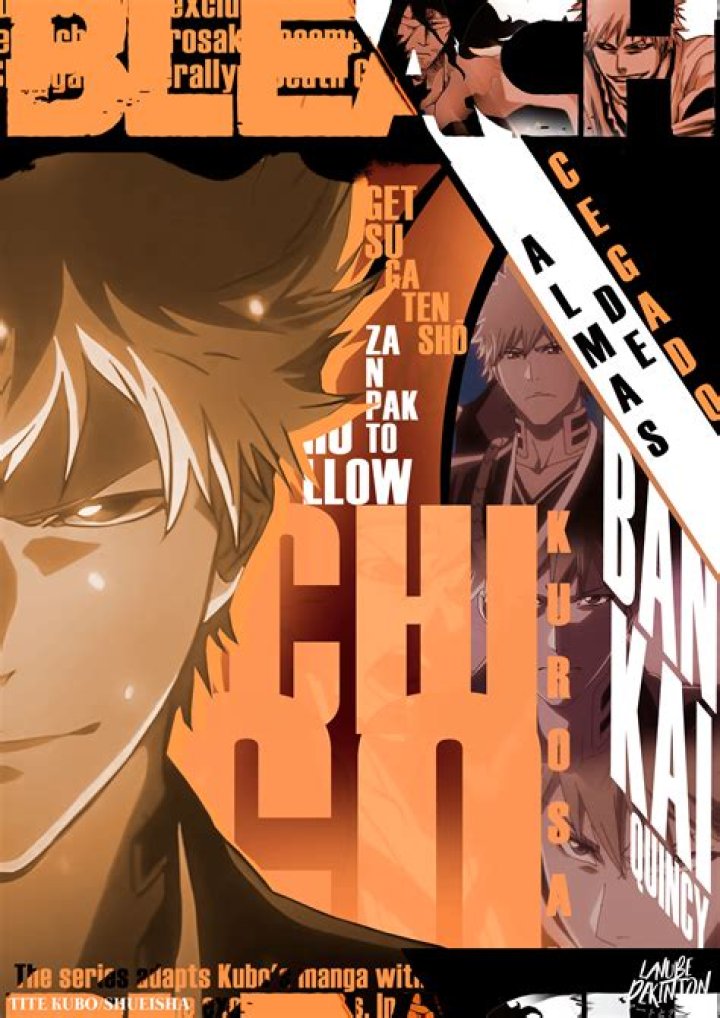 Is Bleach inspired by DBZ?