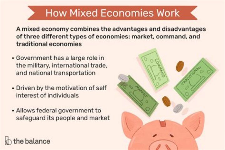 Is capitalism a mixed economy?