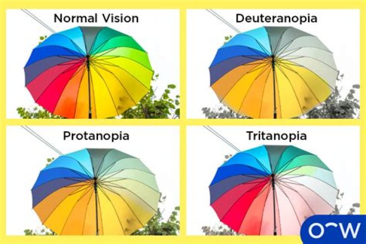 Is Deuteranopia or Protanopia more common?