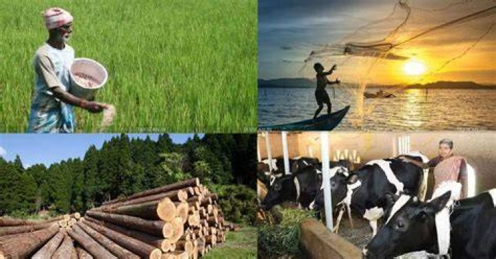 Is fishing under agriculture?