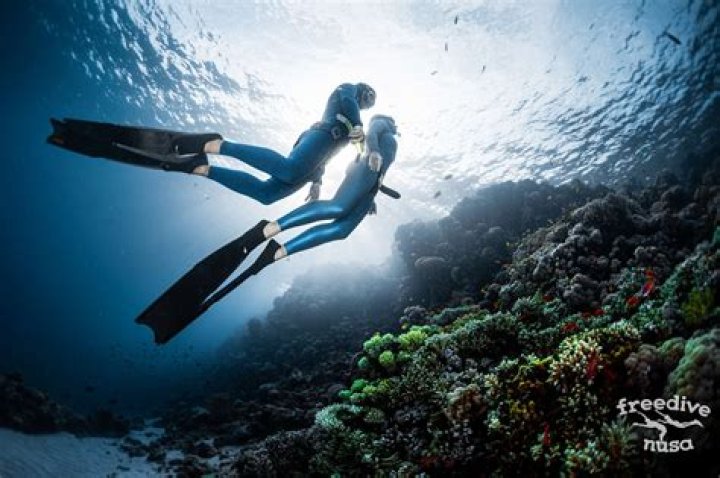 Is freediving good for lungs?
