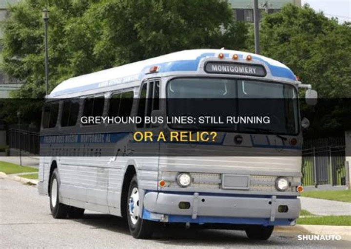 Is Greyhound bus still running?
