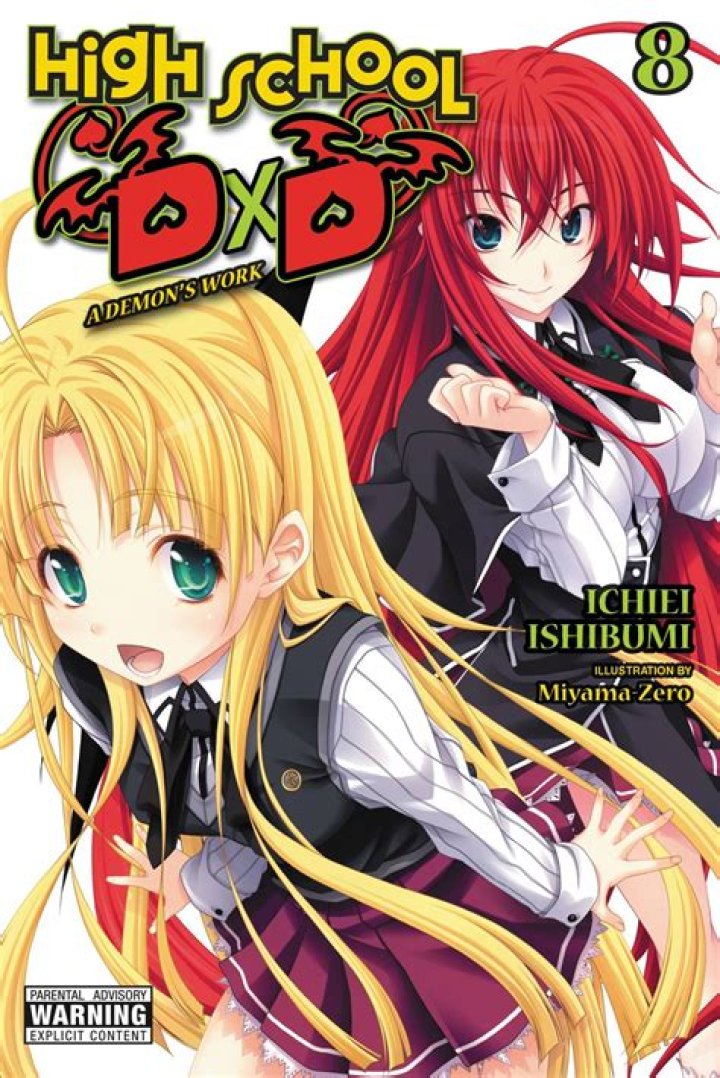 Is highschool DxD light novel still going?