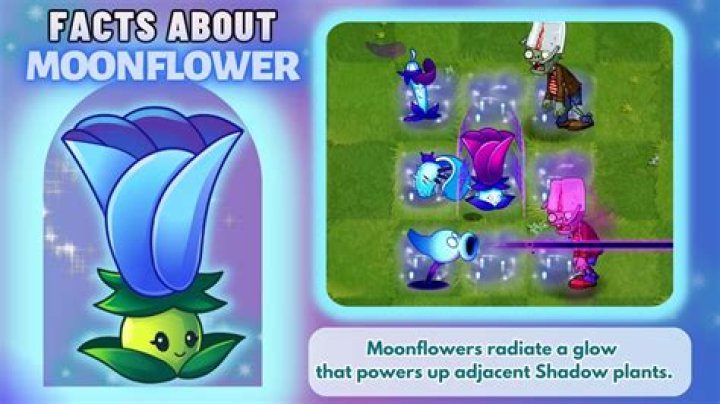 Is Moonflower good PvZ2?