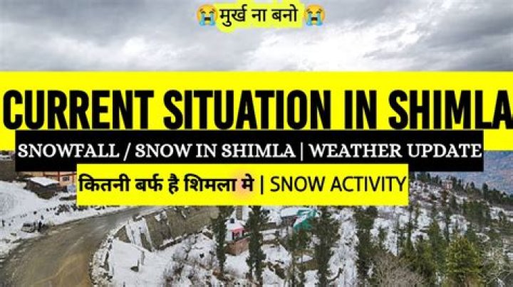 Is snow falling in Shimla today?