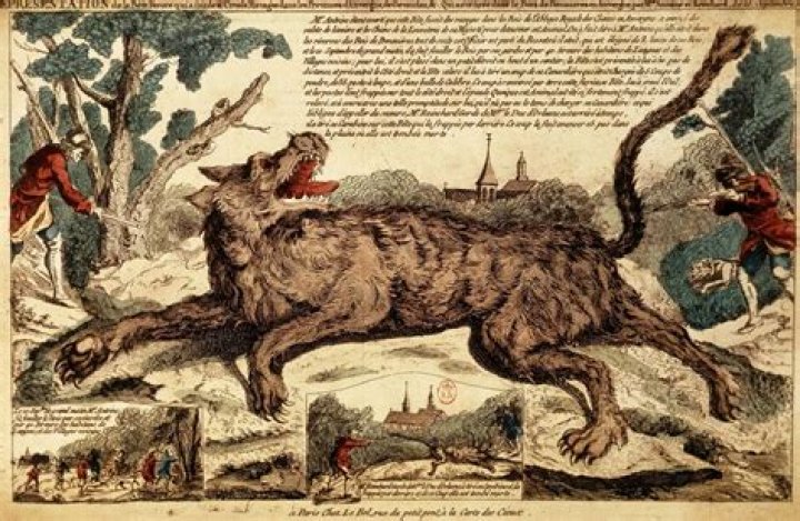 Is the beast of Gevaudan real?