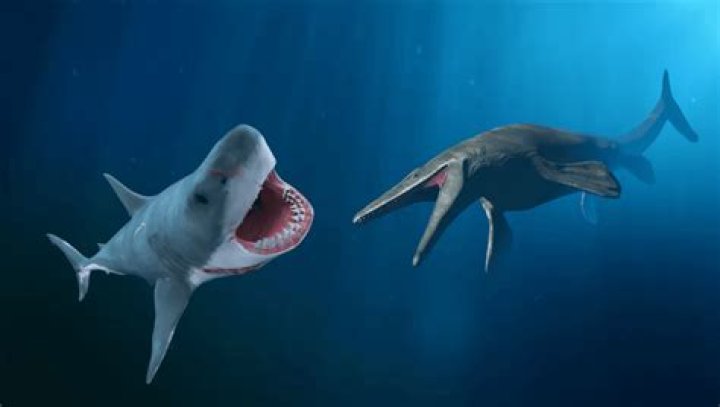 Is the Mosasaurus better than the Megalodon?