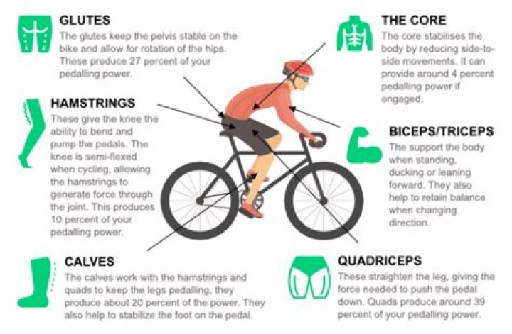 Is weight training good for mountain biking?