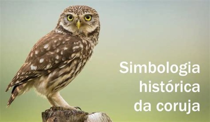 Por que a coruja e simbolo de sabedoria?