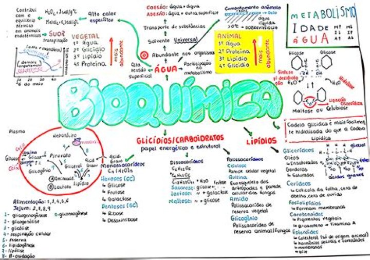 Por que o Departamento de Bioquimica?
