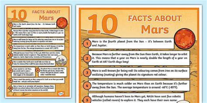 What are 5 facts about the Army?