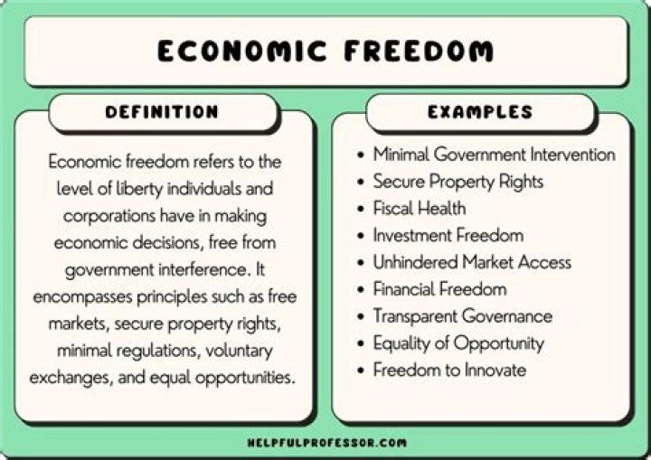 What are economic rights and freedoms?