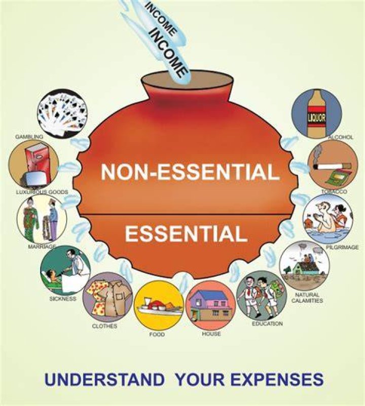 What are non-essential expenses?