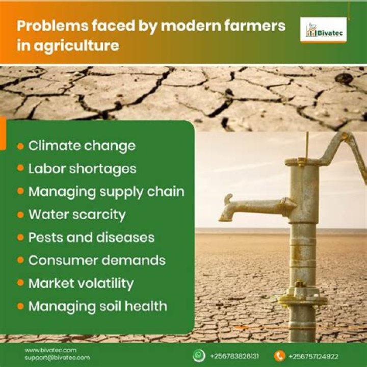 What are some problems that agricultural workers face?