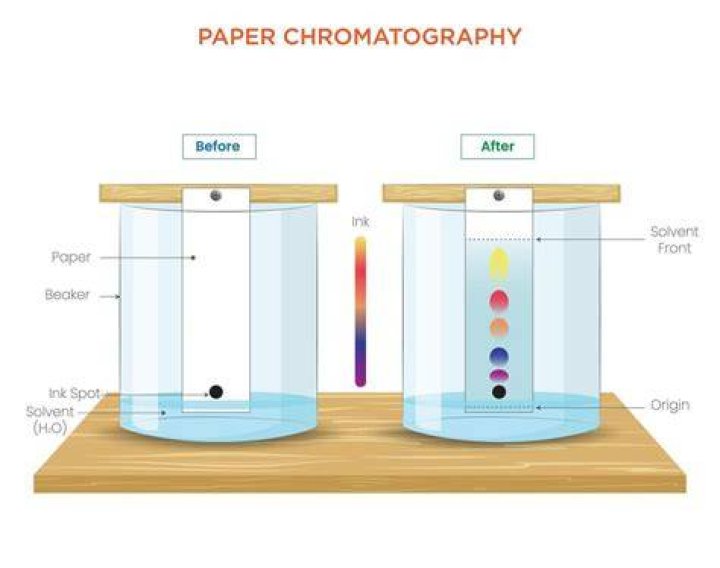 What are some sources of error in paper chromatography?