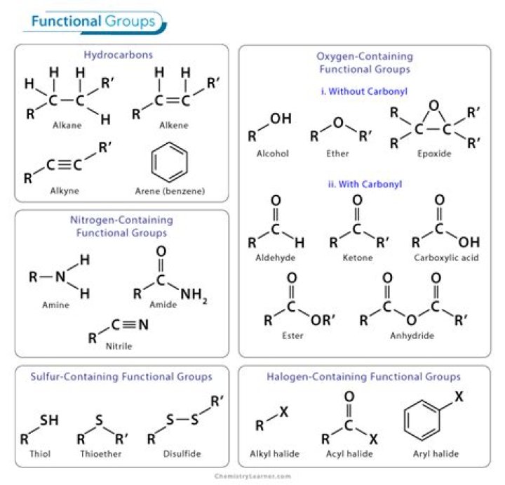 What are the 5 functional groups in organic chemistry?