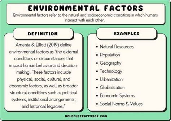 What are the 6 environmental factors?