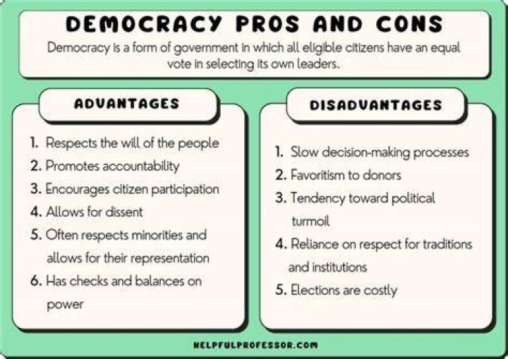 What are the advantages of government involvement?